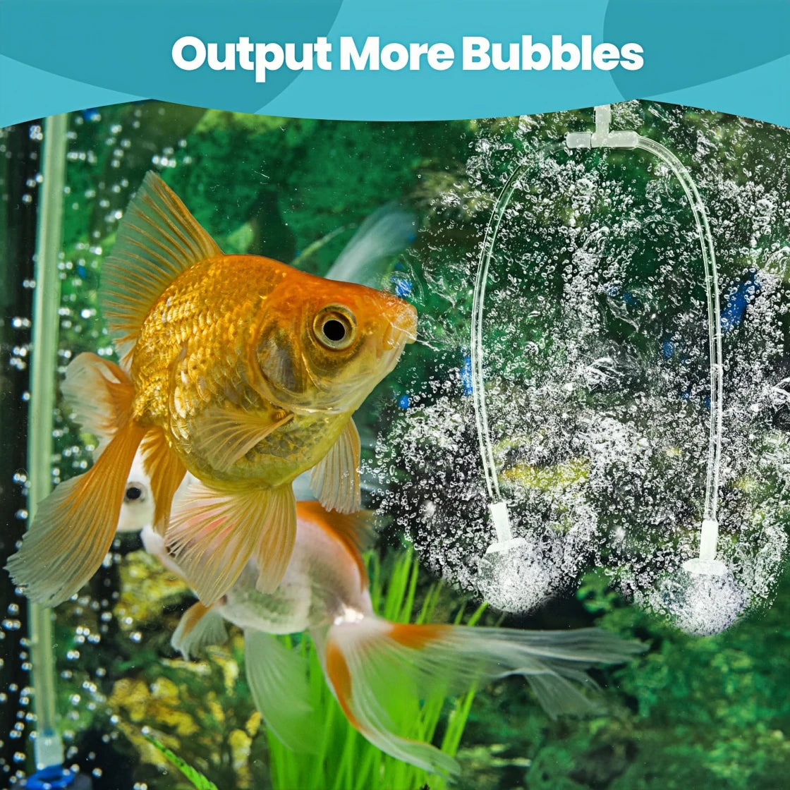 Increase Aquarium Oxygenation with High-Bubble Output Air Stones" or "Boost Your Fish Tank's Bubble Output for Healthier Fish.