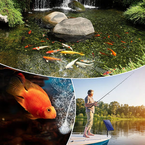 Natural Pond Fish, Aquarium Oxygenator, Solar-Powered Fishing Trip