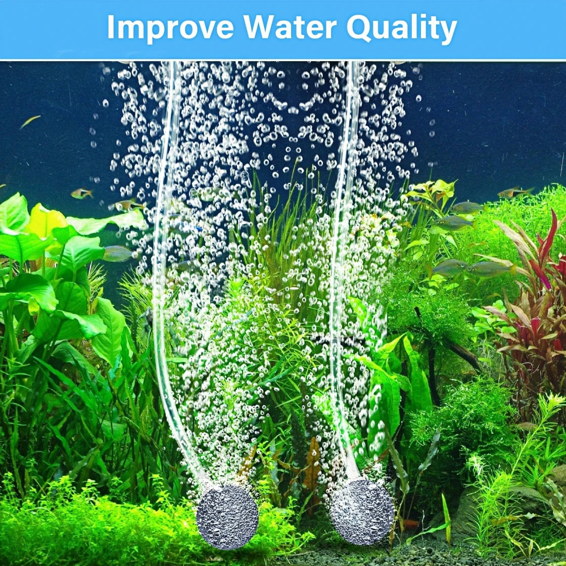 an aquarium with two air stones at the bottom, releasing bubbles that rise to the surface. The text above reads "Improve Water Quality." The aquarium is filled with various aquatic plants and fish swimming around.