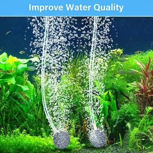 an aquarium with two air stones at the bottom, releasing bubbles that rise to the surface. The text above reads "Improve Water Quality." The aquarium is filled with various aquatic plants and fish swimming around.
