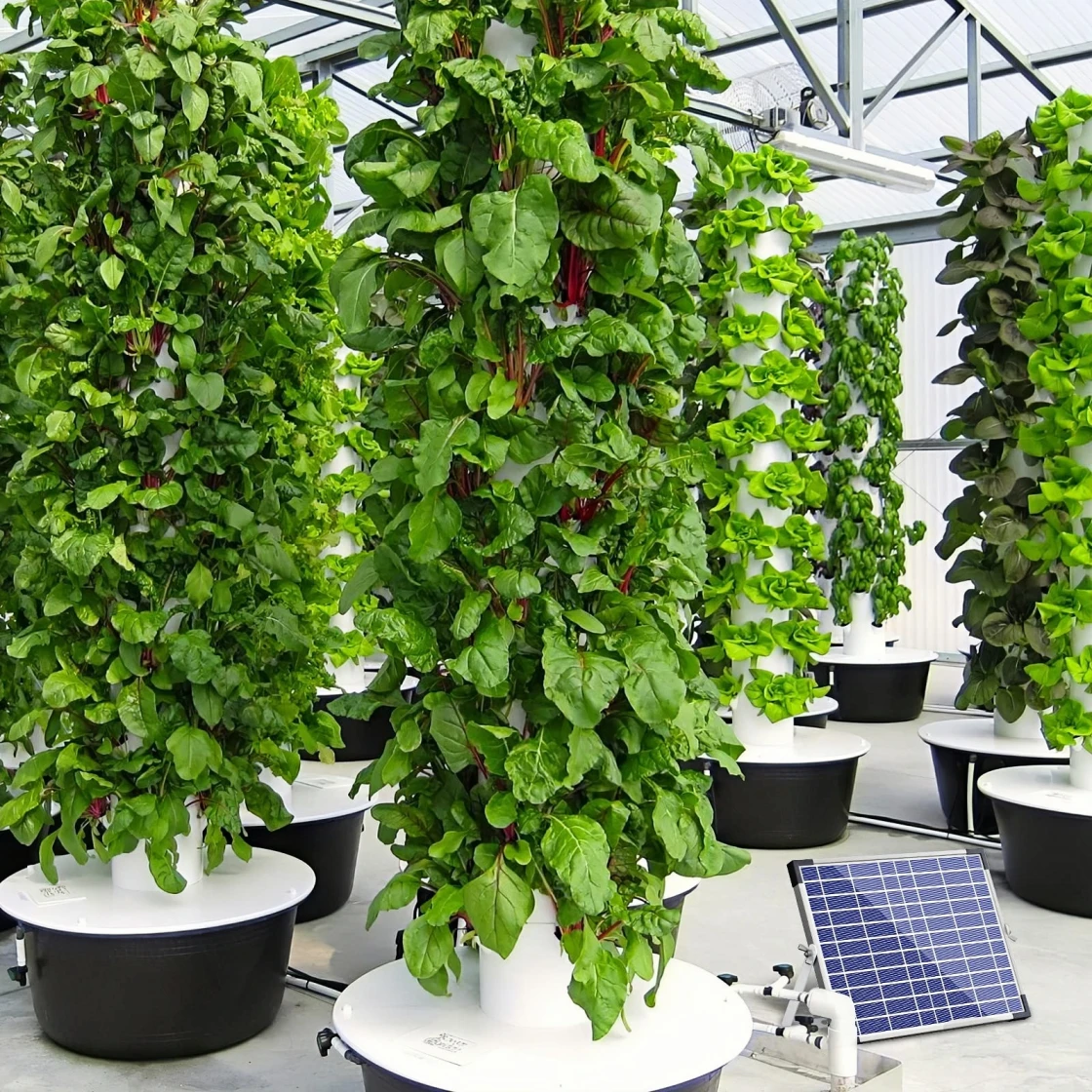 a vertical hydroponic garden system. The plants are growing in tall, cylindrical structures that appear to be made of plastic or metal, and they are placed on large black containers. The plants are lush and green, indicating healthy growth. A solar panel is visible in the foreground, suggesting that this system may be using solar energy for its operations.