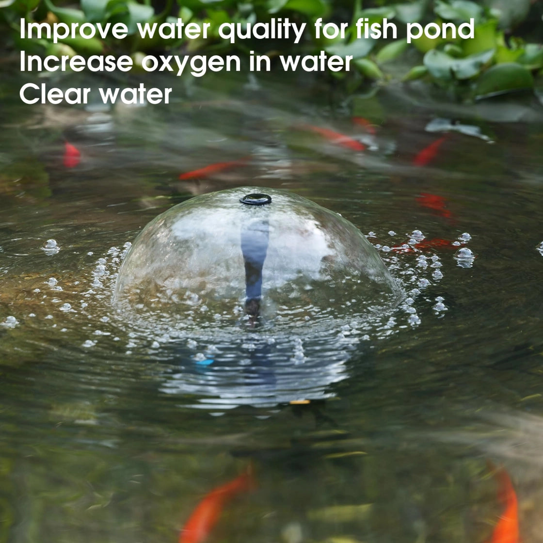 Water Quality Improvement Device for Fish Ponds